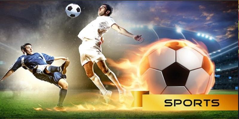 Sảnh thể thao Nohu52 sở hữu rất nhiều ưu điểm nổi bật