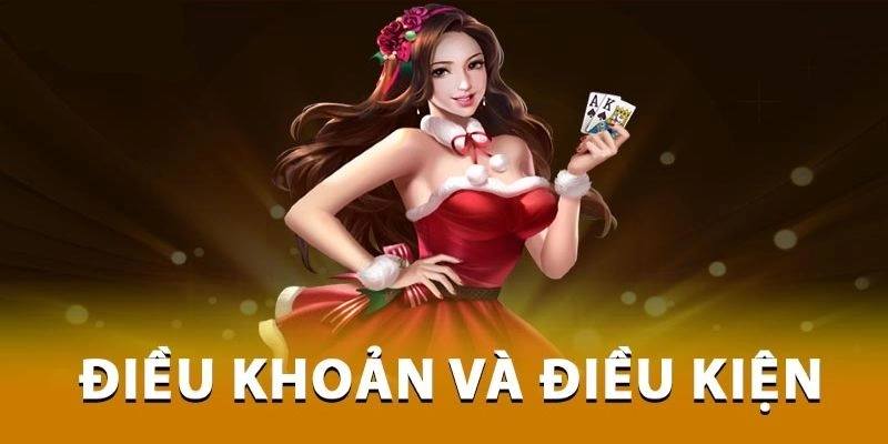 Đôi nét khái quát chung về điều khoản và điều kiện tại nền tảng